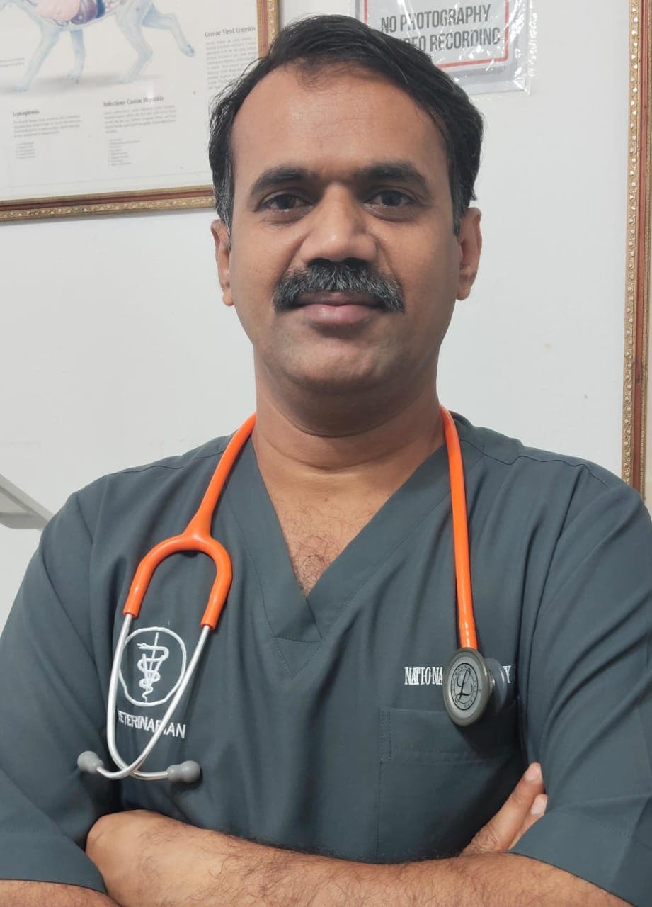 Ashique Ali Kalhoro
